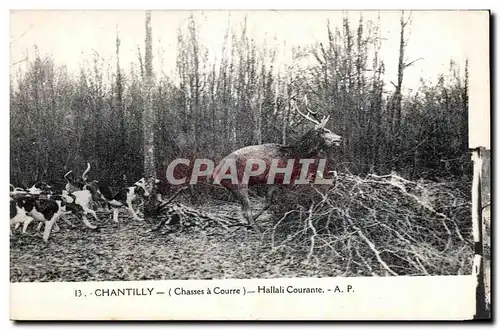 Ansichtskarte AK Chantilly (Chasses a Courre) Hallali Courante Cerf et chiens Dogs Hunting