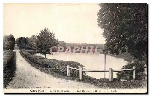 Cartes postales Coye (Oise) L Etang de Comelle Les Roseaux Route de La Table