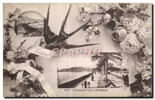 Cartes postales Cannes Souvenir Hirondelle