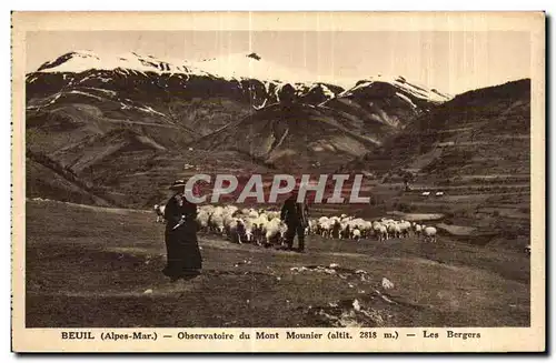 Ansichtskarte AK Beuil (Alpes Maritimes) Observatoire du Mont Monuier Les Bergers Moutons Sheep