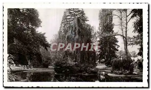 Cartes postales moderne Vichy Bassin des Cygnes