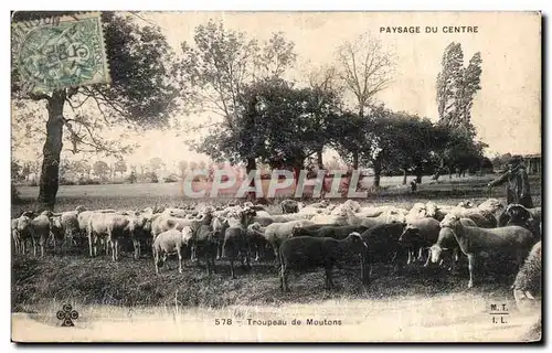 Cartes postales Troupeau de Moutons Berge Elevage