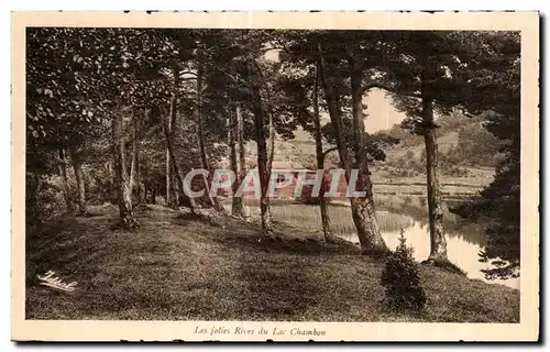 Cartes postales Les jolies Rives du lac Chambon