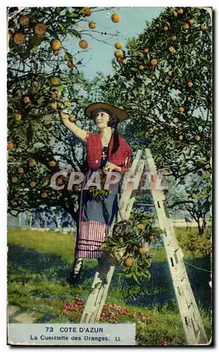 Ansichtskarte AK Cote D Azur La Cueillette des Oranges Folklore Costume