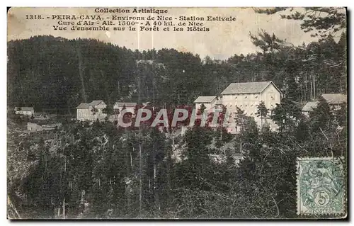 Ansichtskarte AK Peira Cava Environs de Nice Station Estivale Cure d Air de Nice Vue d ensemble sur la foret et l