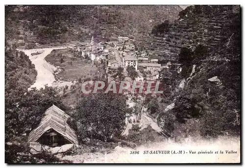 Cartes postales St Sauveur Vue generale et la Vallee