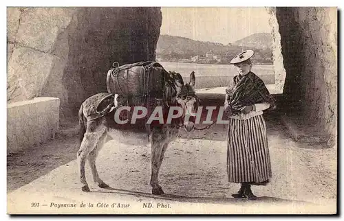 Ansichtskarte AK Paysanne de la Cote d Azur Ane Donkey