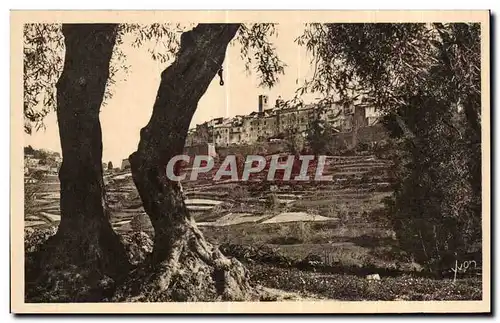 Cartes postales Cote D Azur Saint Paul (Alpes Maritimes) Le fortifie vu a travers les oliviers