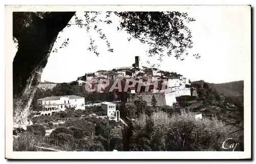 Cartes postales Saint Paul de Vence Vue a travers les Oliviers