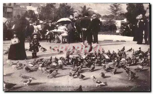 Cartes postales Monte Carlo Les Pigeons Enfant