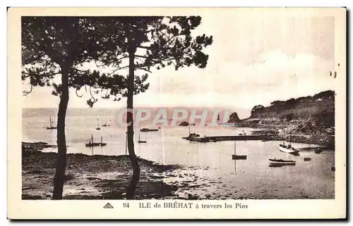 Cartes postales Ile de Brehat a travers les Pins