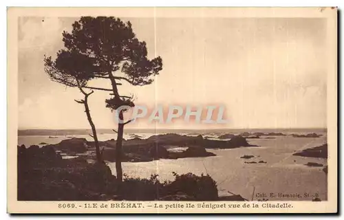 Cartes postales Ile de Brehat La petite Ile de Brehat Beniguet vue de la CitadeIle de Brehat Enfants