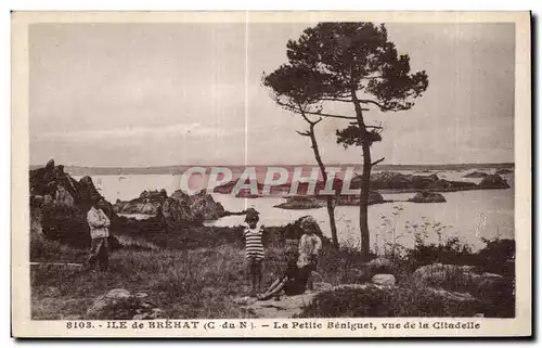 Cartes postales Ile de Brehat La Petite Beniguet Vue de la CitadeIle de Brehate