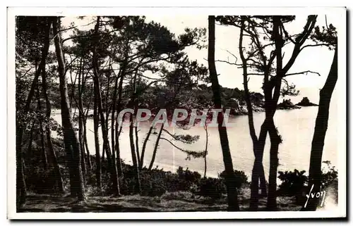 Ansichtskarte AK Ile de Brehat Cotes du Nord Les pins et la mer