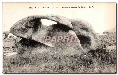 Cartes postales Ploumanac h Rochers etranges Le Lapin