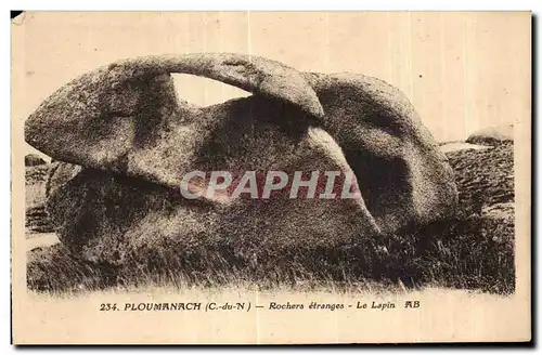 Cartes postales Ploumanac h Rochers etranges Le Lapin