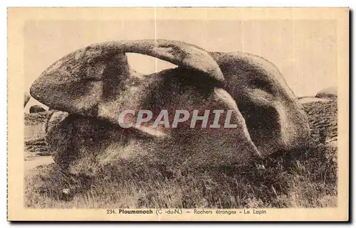 Cartes postales Ploumanac h Rochers etranges Le Lapin