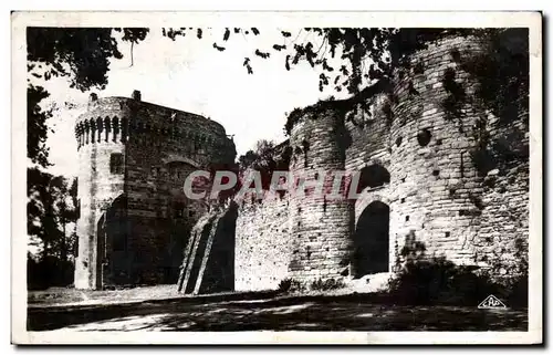 Cartes postales Dinan Chateau de la Duchesse Anne et la Fausse porte