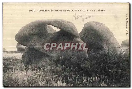 Ansichtskarte AK Rochers etranges de Ploumanac h Le Lievre