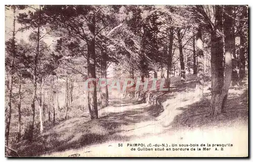 Cartes postales Paimpol Un sous bois de la presqu ile de Gullben situe en bordure de la Mer