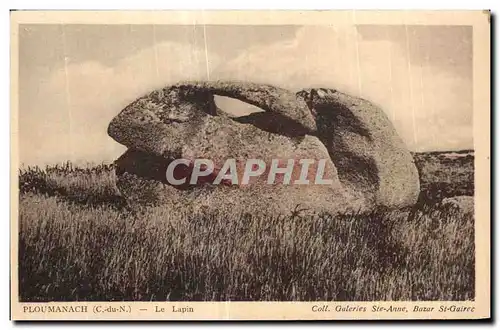 Cartes postales Ploumanac h Le Lapin