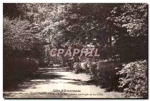 Cartes postales Gote d Emerande Saint Cast L un des chemins ombrages de La Garde