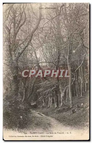 Cartes postales Saint Cast Le Bois de Vieuvil