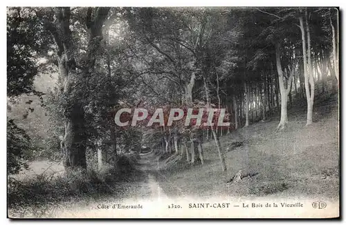 Ansichtskarte AK Cote d Emeraude Saint Cast Le Bois de la Vieuville