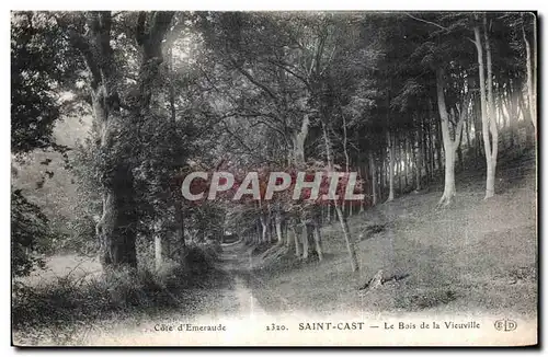 Cartes postales Cote d Emeraude Saint Cast Le Bois de la Vieuville