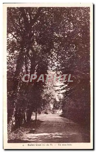 Cartes postales Saint Cast Un sous bois