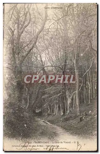 Cartes postales Saint Cast Le bois de Vieuvil