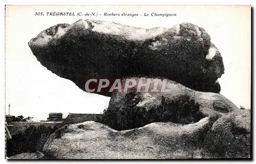 Ansichtskarte AK Tregastel(C du N) Rochers etranges Le Champignon