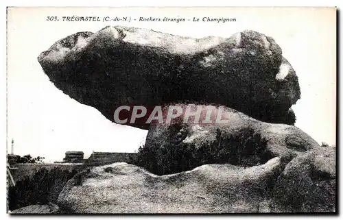 Cartes postales Tregastel(C du N) Rochers etranges Le Champignon