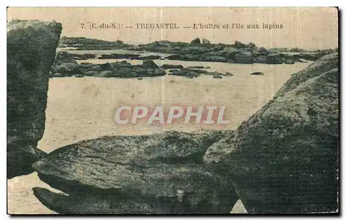 Cartes postales Tregastel L huitre et l ile aux lapins