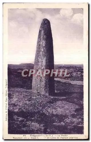 Ansichtskarte AK Tregastel Le Menhir Monument hique les Ceites de L epoque primitive