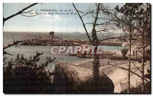 Cartes postales Tregastel Le De et les Sept I les vus du Bois