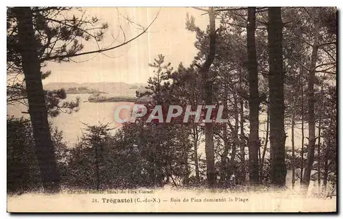 Ansichtskarte AK Tregastel Bois de Pins dominant la Plage