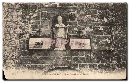 Cartes postales Carnac Saint Cornely et ses Boeufs