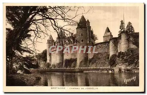 Cartes postales Bretagne Chateau De Josselin