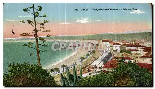 Cartes postales Nice Vue prise du Chateau Aloes du fleur