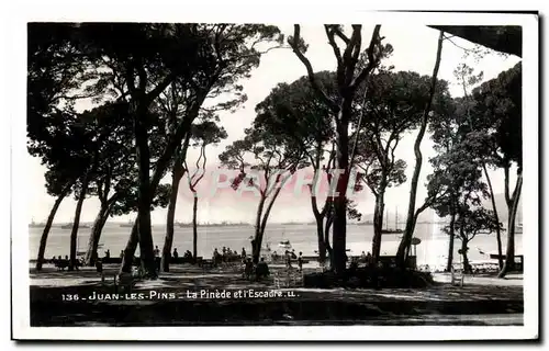 Cartes postales Juan Les Pins La Pinede et l escadre