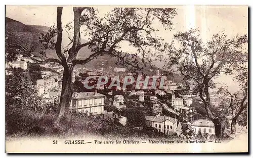 Cartes postales Grasse Vue entree les Oliviers