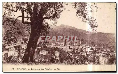 Cartes postales Grasse Vue entre les Oliviers