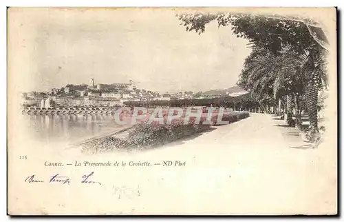 Cartes postales Cannes La Promenade de la Croisette