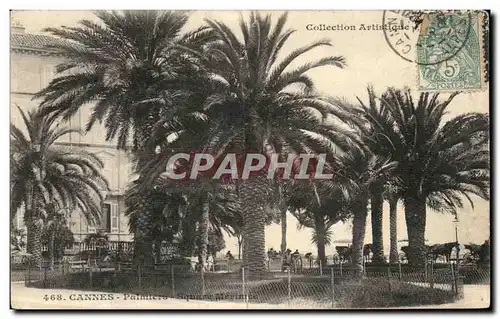 Cartes postales Cannes Palmiers Square Merimee