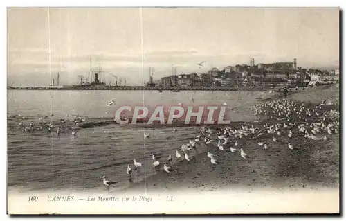 Ansichtskarte AK Cannes Les Mouettes sur la Plage