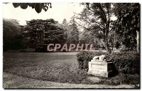 Ansichtskarte AK Montmorency Le Parc et le Cedre du Liban