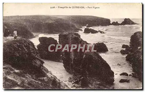 Cartes postales Presqu ile de Quiberon Port Pigeon