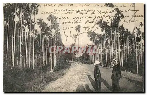 Cartes postales Une Plantation d arequiers Indochine Vietnam