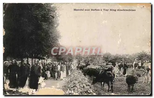 Cartes postales Marche aux Bufles a Tay Ning Cochinchine Vietnam indochine